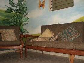 Hotel-Dominico-Mundial-Hostal-Lobby-2